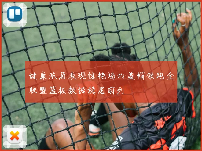 健康浓眉表现惊艳场均盖帽领跑全联盟篮板数据稳居前列