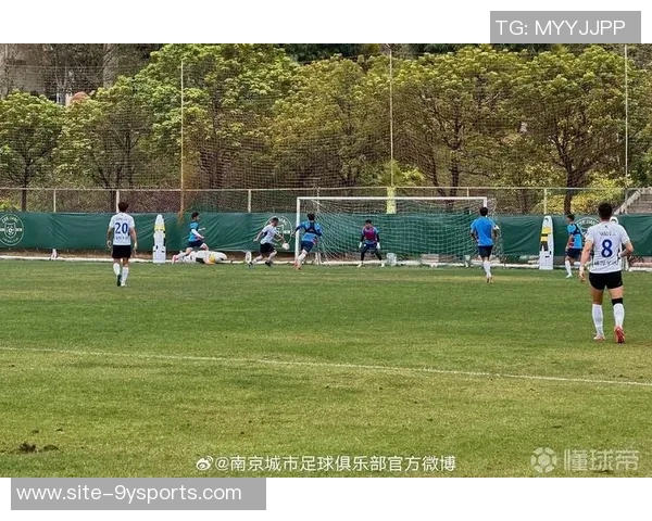 泽维托尔正式加盟南京城市足球俱乐部开启新征程助力球队冲击新赛季